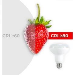 BARCELONA LED Ampoule LED E27 10W R90 | Blanc Chaud - Blanc Chaud -Pas Cher Eclairage professionnel Magasin 11904811 3