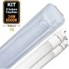 EUROPALAMP Kit 2 Tubes LED T8 24W Blanc Froid + Boitier Etanche 150cm - Blanc Froid 6000K -Pas Cher Eclairage professionnel Magasin 12517952 1