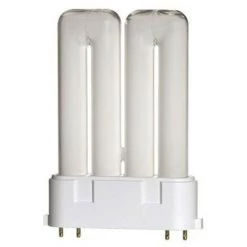 SUPERPLANT Lampe Floraison Fluo-compacte 36W - 3000°K (2G10)