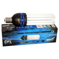 Ampoule CFL 125W Croissance 6400K - Superplant, Douille E40