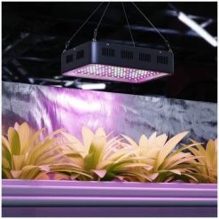 HILLVERT Lampe LED Plante Croissance Culture Floraison Horticole Grow Light 1200w 5637 Lm - Noir -Pas Cher Eclairage professionnel Magasin 24394611 5