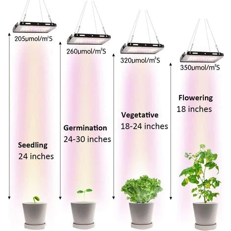 BETTERLIFE Lumière De Croissance Des Plantes, LEDGLE 150W Panneau Lumineux De Croissance Des Plantes D'intérieur, Lumière De Croissance LED à Spectre Complet, Lumière De Croissance Des Plantes De Serre, Convient Aux Légumes De Pépinière, Aux Fleurs Et Aux Plantes Hy 5 BETTERLIFE Lumière De Croissance Des Plantes, LEDGLE 150W Panneau Lumineux De Croissance Des Plantes D'intérieur, Lumière De Croissance LED à Spectre Complet, Lumière De Croissance Des Plantes De Serre, Convient Aux Légumes De Pépinière, Aux Fleurs Et Aux Plantes Hy – Image 3