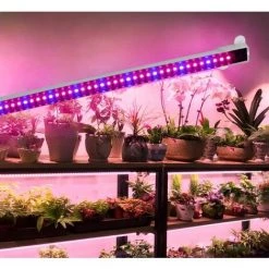 LITZEE Lampe Pour Plante, Chronométrage Auto - On/Off, 48 Lampe LED Lampe De Croissance Pour Plantes, Pour Les Plantes D'intérieur -Pas Cher Eclairage professionnel Magasin 27181606 2