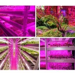 BETTERLIFE Lumière De Croissance De Plante à LED, Bande De Lumière De Plante Imperméable à L'eau De Balayage à La Main Intelligente 3 Mètre De Bande De Lumière De Croissance De Plante à LED étanche, 3 Mètre -Pas Cher Eclairage professionnel Magasin 28260843 2