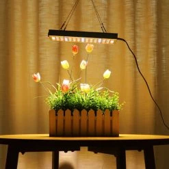 LBTN 2000W Full Spectrum LED Plant Grow Light Veg Bloom Lampe Jardin -Pas Cher Eclairage professionnel Magasin 28283654 4