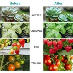 BRIDAY SMD2835 Lot De 4 Lampes De Croissance à LED Pour Plantes Culot E27 10 W -Pas Cher Eclairage professionnel Magasin 28491948 4