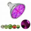 THSINDE Lampe LED Horticole, Lampe De Croissance Des Plantes, Ampoule De Lampe à LED Pour Plantes à Spectre Complet Pour Plantes Dintérieur à Effet De Serre (50W,78LED),Facile à Utiliser -Pas Cher Eclairage professionnel Magasin 28684246 1
