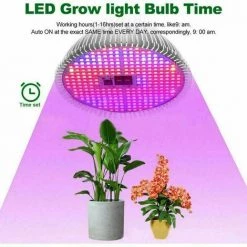 THSINDE Ampoule LED Horticole E27 à Spectre Complet -Lampe De Croissance Et Floraison Pour Culture De Plante Intérieure - Avec Télécommande Multimode - Grow Light(50W),Facile à Utiliser -Pas Cher Eclairage professionnel Magasin 28684273 3