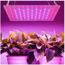 DONTODENT Lampe Horticole Led ,de Croissance Floraison LED Grow Light Pour Led Culture Indoor Plante Hydroponique éclairage Germination 11 DONTODENT Lampe Horticole Led ,de Croissance Floraison LED Grow Light Pour Led Culture Indoor Plante Hydroponique éclairage Germination -Pas Cher Eclairage professionnel Magasin 29715317 5