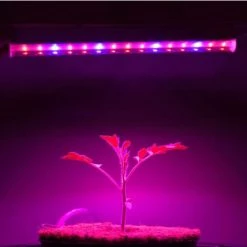 ILoveMilan LED Plante Remplir Lumière T5 Bande Croissance Des Plantes Lumière Succulente Plante De Fleurs Végétales Lampe 6W + Cordon D'alimentation -Pas Cher Eclairage professionnel Magasin 30094147 4