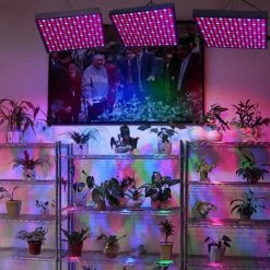 SKECTEN 45W Lampe Horticole Led De Croissance Floraison LED Grow Light Pour Led Culture Indoor Plante Hydroponique éclairage Germination -Pas Cher Eclairage professionnel Magasin 33221136 5