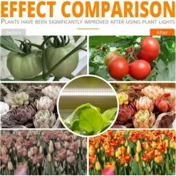 BETTERLIFE LED Cultiver Des Bandes Légères Spectrum Complet Pour Les Plantes D'intérieur Auto ON & OFF Timer, 20W Grow Lamp 4 Niveau Dimmable, Barre De Lumière Soleil Grow Bar 96 LED, Pour SPIGNES HYDROPONICS Garden -Pas Cher Eclairage professionnel Magasin 37662194 5