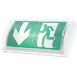 GELIGHTING Vertiv Aees 6222888 Baes D'évacuation Astus Ecoled 45 Lumens 1H/0,5W/ip43/ik08/Sati - Vert