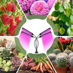 BETTERLIFE Lampe Horticole LED Lampe De Plante Lampe De Croissance Spectre Complet Lampe Pour Plante 3 Heads Spectre Complet Lampe De Croissance Pour Semis, Succulentes, Orchidee -Pas Cher Eclairage professionnel Magasin 39717963 3