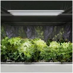 HILLVERT Lampe LED De Croissance Et Culture Horticole Plante Rouge / Bleu 20w Lot De 4 - Noir, Argent -Pas Cher Eclairage professionnel Magasin 39839903 4