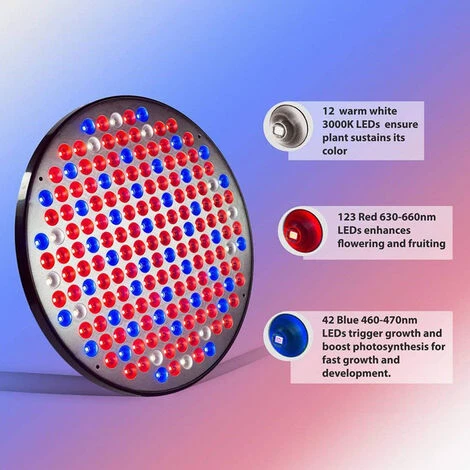 SKECTEN Lampe Horticole Led De Croissance Floraison LED Grow Light Pour Led Culture Indoor Plante Hydroponique Eclairage Germination 4 SKECTEN Lampe Horticole Led De Croissance Floraison LED Grow Light Pour Led Culture Indoor Plante Hydroponique Eclairage Germination – Image 2