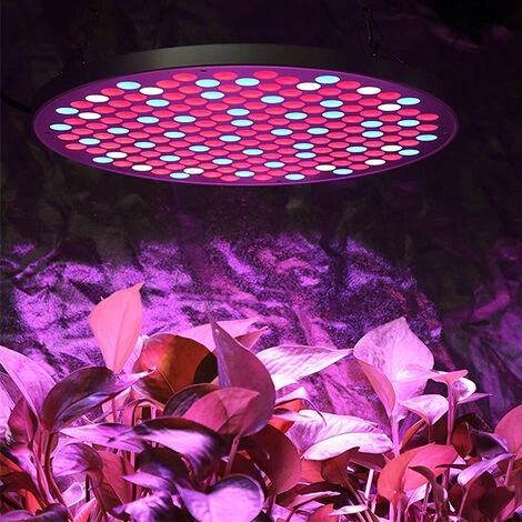 SKECTEN Lampe Horticole Led De Croissance Floraison LED Grow Light Pour Led Culture Indoor Plante Hydroponique Eclairage Germination 6 SKECTEN Lampe Horticole Led De Croissance Floraison LED Grow Light Pour Led Culture Indoor Plante Hydroponique Eclairage Germination – Image 4