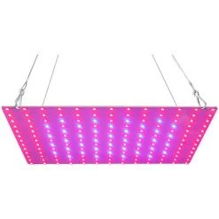 HAPPYSHOPPING LED élèvent La Lumière Rouge Bleu Spectre Complet 81 LED élèvent Des Lampes Le Panneau LED élève La Lumière Pour Les Plantes Succulentes à Effet De Serre Hydroponique Plante D'intérieur Fleur Croissance Végétative, Modèle: EU Plug & S