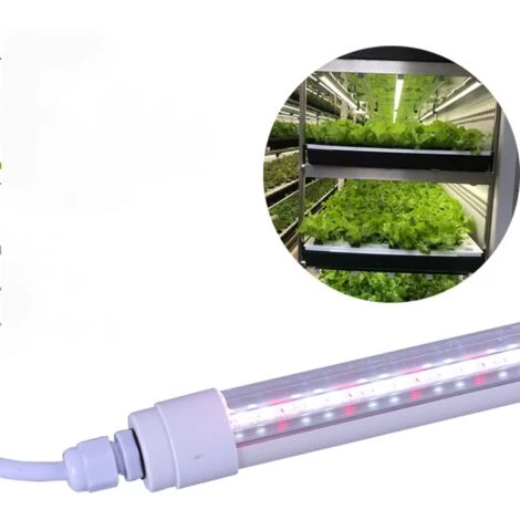 DONTODENT Lampe Led Horticole Croissance Floraison, Grow Light Pour Culture Indoor 60CM 7W 4 DONTODENT Lampe Led Horticole Croissance Floraison, Grow Light Pour Culture Indoor 60CM 7W – Image 2