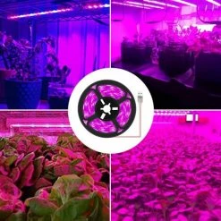 BARES Bande Lumineuse LED Pour Croissance De Plantes, étanche, Lampe De Croissance à Spectre Complet Pour Plantes D'intérieur, Plantes Succulentes, Culture Hydroponique, Serre -Pas Cher Eclairage professionnel Magasin 43220360 3