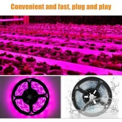 BARES Bande Lumineuse LED Pour Croissance De Plantes, étanche, Lampe De Croissance à Spectre Complet Pour Plantes D'intérieur, Plantes Succulentes, Culture Hydroponique, Serre -Pas Cher Eclairage professionnel Magasin 43220360 5