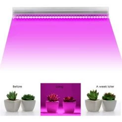 Ampoules De Croissance Lot De 5 Tubes LED T5 à Spectre Complet Pour Plantes - 12,6 Pouces - Pour L'intérieur - Pour Légumes GrooFoo -Pas Cher Eclairage professionnel Magasin 43232566 3