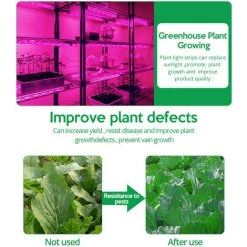 SUPERSELLER Eclairage Horticole LED élèvent La Lumière à Spectre Complet USB élèvent La Bande Lumineuse 2835 SMD DC5V LED Phyto Tape Pour Les Plantes à Graines Fleurs Serres Intérieur Légume Fleur Semis Fitolampy, 0.5M - 0.5M -Pas Cher Eclairage professionnel Magasin 48888929 5