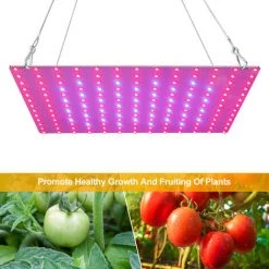 SUPERSELLER Eclairage Horticole LED élèvent La Lumière Rouge Bleu à Spectre Complet 81 LED élèvent Des Lampes Le Panneau LED élève La Lumière Pour Les Plantes Succulentes à Effet De Serre Hydroponique Plante D'intérieur Fleur Croissance Végétative, Prise Européenne E -Pas Cher Eclairage professionnel Magasin 48931388 3