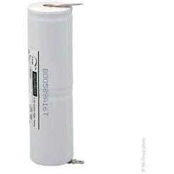 NX - Batterie Eclairage Secours 2xD ST4 Faston 4.8mm (+2.8mm) 2.4V 4Ah