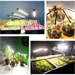 TINOR Lampe Pour Plantes, 2020 Nouvelle 80 LEDs 4 Heads Lampe De Croissance, Chronométrage AUTO - ON/OFF Lampe Led Horticole Pour Semis, Succulentes, Orchidee(660nm/3000K/5000K) -Pas Cher Eclairage professionnel Magasin 52546980 5