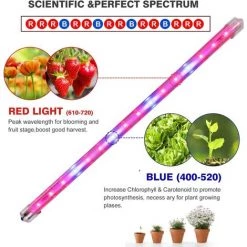 LONGZIMING IP65 Lampe Horticole Culture Indoor 40W LED Horticole T5 Grow LED Avec Minuterie 3H/6H/12H Et Luminosité Dimmable 25%/50%/75%/100% Pour Intérieur/Serre/Hydroponique/Grow Box Culture [4Pcs] -Pas Cher Eclairage professionnel Magasin 52739671 4