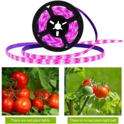 Bande Lumineuse LED Pour Croissance De Plantes, étanche, Lampe De Croissance à Spectre Complet Pour Plantes D'intérieur, Plantes Succulentes, Culture Hydroponique, Serre,3m,Starlight 9 Bande Lumineuse LED Pour Croissance De Plantes, étanche, Lampe De Croissance à Spectre Complet Pour Plantes D'intérieur, Plantes Succulentes, Culture Hydroponique, Serre,3m,Starlight -Pas Cher Eclairage professionnel Magasin 53317837 3