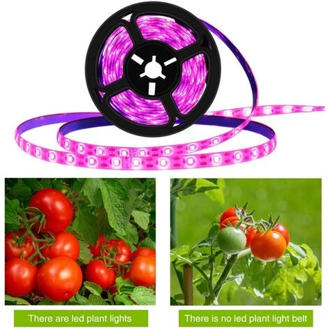 Bande Lumineuse LED Pour Croissance De Plantes, étanche, Lampe De Croissance à Spectre Complet Pour Plantes D'intérieur, Plantes Succulentes, Culture Hydroponique, Serre,3m,Starlight 5 Bande Lumineuse LED Pour Croissance De Plantes, étanche, Lampe De Croissance à Spectre Complet Pour Plantes D'intérieur, Plantes Succulentes, Culture Hydroponique, Serre,3m,Starlight – Image 3