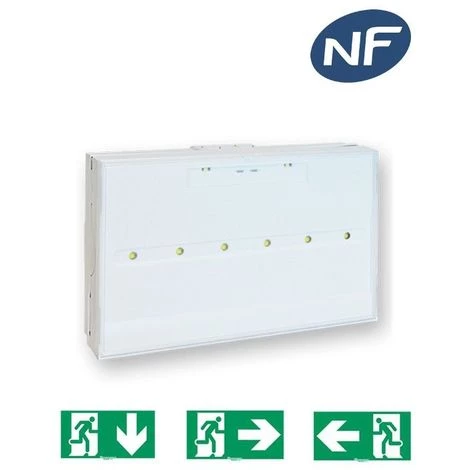 Bloc De Secours TOLEDO BAES-BAEH SATI LEDs ZEMPER 4 Bloc De Secours TOLEDO BAES-BAEH SATI LEDs ZEMPER – Image 2