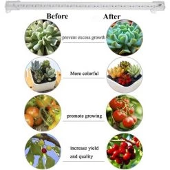 Lampe Pour Plante, Chronométrage Auto - On/Off, 48 Lampe LED Lampe De Croissance Pour Plantes, Pour Les Plantes D'intérieur GrooFoo -Pas Cher Eclairage professionnel Magasin 61020917 3