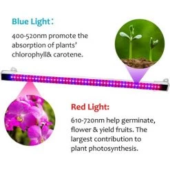 Lampe Pour Plante, Chronométrage Auto - On/Off, 48 Lampe LED Lampe De Croissance Pour Plantes, Pour Les Plantes D'intérieur GrooFoo -Pas Cher Eclairage professionnel Magasin 61020917 4