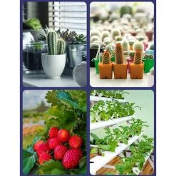 LIFCAUSAL Ampoule LED De Croissance Pour Plantes D'intérieur Spectre Rouge Et Bleu Ampoules LED Pour Plantes E14 Lampe De Croissance Pour Semis Hydroponique Fleurs Succulentes Veg Greenhouse (220V) -Pas Cher Eclairage professionnel Magasin 63810678 4