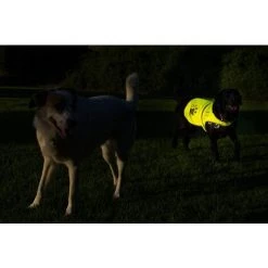 BENOBBY KIDS Gilet De Sécurité Réfléchissant Pour Chien, , Haute Visibilité, Activités à L’extérieur De Jour Et De Nuit. Votre Chien Est Visible Pour Empêcher Les Accidents De Voiture Ou De Chasse L -Pas Cher Eclairage professionnel Magasin 64874576 5