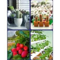 TANCYCO Ampoule LED De Croissance Pour Plantes D'intérieur Spectre Rouge Et Bleu Ampoules LED Pour Plantes E14 Lampe De Croissance Pour Semis Hydroponique Fleurs Succulentes Veg Greenhouse (220V) -Pas Cher Eclairage professionnel Magasin 65260306 4