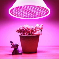 TANCYCO Ampoule LED De Croissance Pour Plantes D'intérieur Spectre Rouge Et Bleu Ampoules LED Pour Plantes E14 Lampe De Croissance Pour Semis Hydroponique Fleurs Succulentes Veg Greenhouse (220V) -Pas Cher Eclairage professionnel Magasin 65260306 5