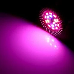 YEURIé 18W LED élèvent La Lumière De Plante à Spectre Complet D'ampoule Pour Plantes D'intérieur(E14) -Pas Cher Eclairage professionnel Magasin 66386845 3