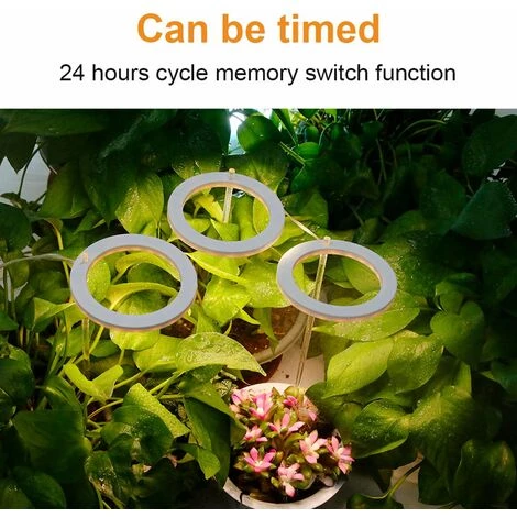 LIFCAUSAL Les Plantes à LED élèvent La Lumière USB Phyto Lampe Pour Les Plantes Lampe à Spectre Complet Pour Les Semis De Plantes D'intérieur La Lumière De Croissance Des Plantes D'intérieur (lumière Bleue Rouge) 3 LIFCAUSAL Les Plantes à LED élèvent La Lumière USB Phyto Lampe Pour Les Plantes Lampe à Spectre Complet Pour Les Semis De Plantes D'intérieur La Lumière De Croissance Des Plantes D'intérieur (lumière Bleue Rouge)