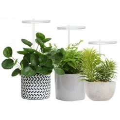 LIFCAUSAL Les Plantes à LED élèvent La Lumière USB Phyto Lampe Pour Les Plantes Lampe à Spectre Complet Pour Les Semis De Plantes D'intérieur La Lumière De Croissance Des Plantes D'intérieur (lumière Bleue Rouge) 9 LIFCAUSAL Les Plantes à LED élèvent La Lumière USB Phyto Lampe Pour Les Plantes Lampe à Spectre Complet Pour Les Semis De Plantes D'intérieur La Lumière De Croissance Des Plantes D'intérieur (lumière Bleue Rouge) -Pas Cher Eclairage professionnel Magasin 66570929 3
