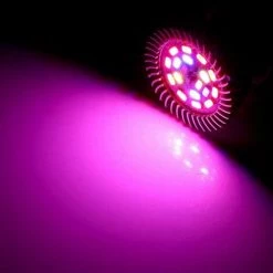 FLETéçA 10W 28LED Ampoule Lampe De Croissance Eclairage Plein Spectre Avec 7 Longueur D'Onde Horticulture Ampoule AC 85-265V Pour Des Plantes, Des Fleurs Et Des Légumes Intérieur/ Serre/ Jardin E27 -Pas Cher Eclairage professionnel Magasin 66962627 5