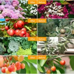 KAEJYIUT Usb Red Light Plante Pousse Et Bleu Du Spectre Reglable De Bureau Growing Lampe A Pince Pour Plantes D'Interieur 5 Niveaux Dimmable 4/8 / 12H Timer, Deux Tete Legere -Pas Cher Eclairage professionnel Magasin 66995814 5